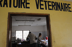 working-in-vet-room-cwaf-zoo